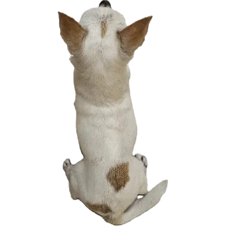 Video sticker 😤 Ponchik