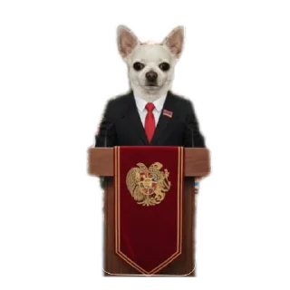 Телеграм стикер 🎄 Ponchik