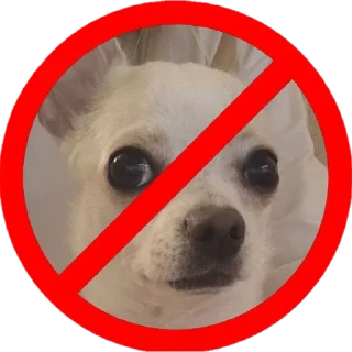 Telegram sticker 🚫 Ponchik @ponchik_chihua