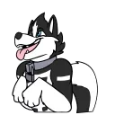 Video sticker 🐶 owo — @stckrRobot