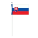 Video sticker 🇸🇰 test_animated_emoji