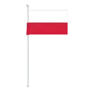 Video sticker 🇵🇱 test_animated_emoji