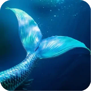 Video sticker 🌊 @Yahh_yor_forger🪿🎀 • @sticbot