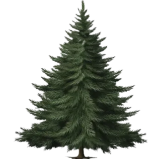 Video sticker 🖤 🕸