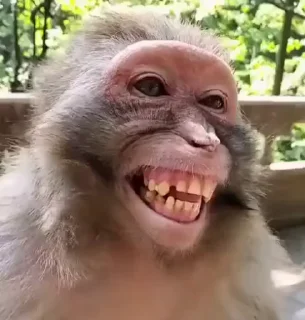 Telegram stiker 😅 Наш канал👉 t.me/hata_banana