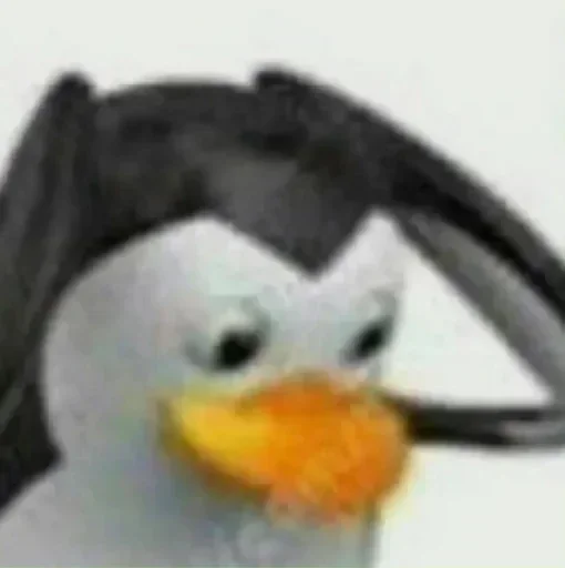 Телеграм стикер 😵 Karmaniamadaminania nigga