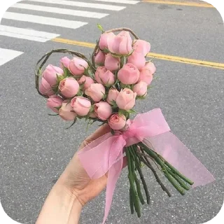 Video sticker 🌸 𝑨𝒔𝒕𝒉𝒆𝒕𝒊𝒄𝒔 @sanginiworld 🌺 :: @fStikBot