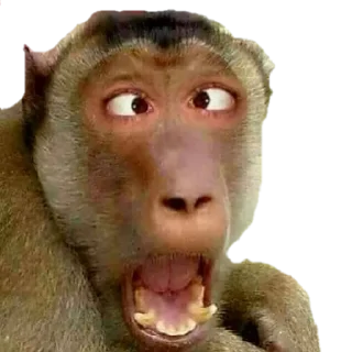 Telegram sticker 😳 Mundo privado