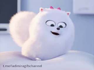 Video sticker 🙂 ° ° °𝐌݂࣭ꪱׅ࣭࣪֗ꬻִׂׂׅαȶִׂׅ࣪ⱺ 𝐅υׂׅωαׂׅ's video pack (@YaeMiko_Roxbot