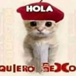 Telegram sticker 🐱 ME LLEVA LA VERGA • CROSS