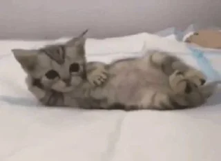 Telegram sticker 🧶 sphh