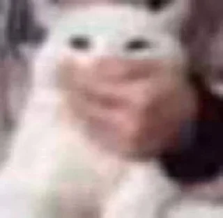 Video sticker 🌟 sphh