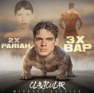 Telegram sticker 🌟 PITBULL SOL :: @fStikBot