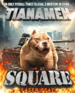 Video sticker 🌟 PITBULL SOL :: @fStikBot