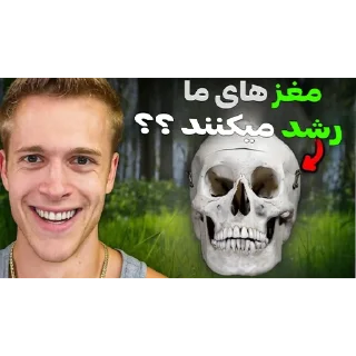 Telegram sticker 🧠 میم های ترجمه‌