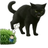 Video sticker 😀 Gato for @onyxafk ...