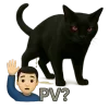 Video sticker 🙋‍♂ Gato for @onyxafk ...