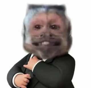 Video sticker 😁 灰产社区 @huichan 表情包 @biaoqing 克隆 @KLBQBOT