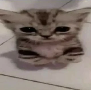 Телеграм стикер ⭐ lala