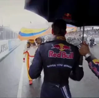 Video sticker 🤝 F1sentimental :: @skeletonyy :: @fStikBot