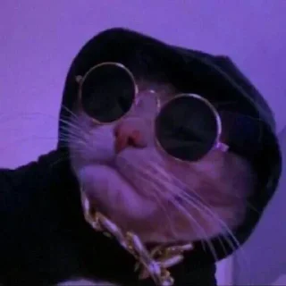 Telegram sticker 😎 @Vx_NS_xV Vol.1