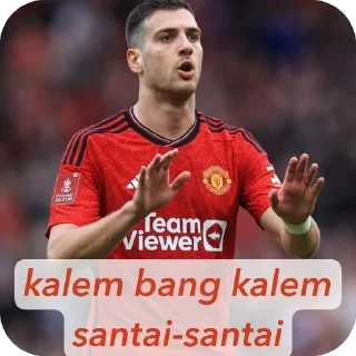 Telegram sticker 🫥 KudaKepalaBanteng