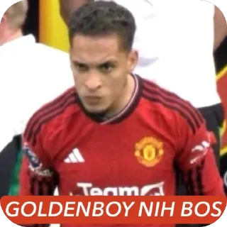 Video sticker 🫥 KudaKepalaBanteng