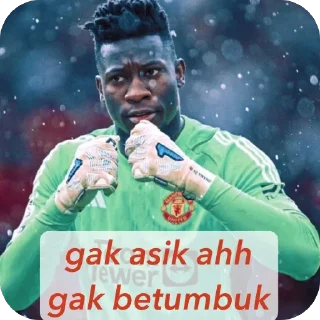 Video sticker 🫥 KudaKepalaBanteng