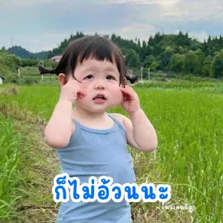 Telegram sticker 🐷 XUENING26