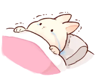 Telegram stiker 😭 Meow