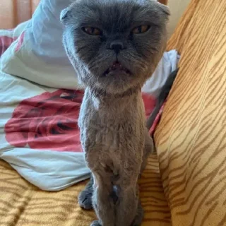 Telegram sticker 😒 Больше стиков тут: @stikery4