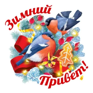 Video sticker 🐦 Мои стикеры
