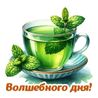 Sticker 🍽 Мои стикеры