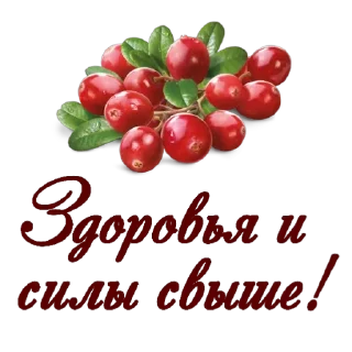 Video sticker 🍲 Мои стикеры