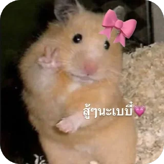 Video sticker 🫥 SaKi💗