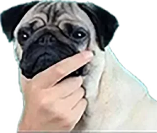 Telegram stiker 🤔 AzulPack