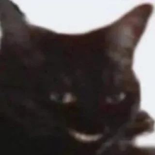 Video sticker 🗿 @Frost_mourne