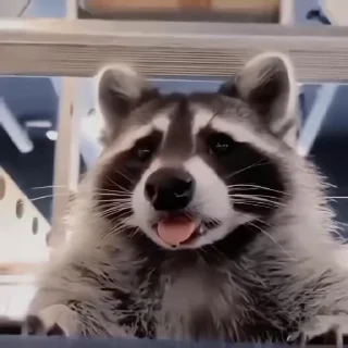 Video sticker 🌟 От Джойстика @vvirtst :: @fStikBot