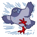 Telegram sticker 💨 둘기콘