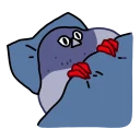 Telegram sticker 🌝 둘기콘