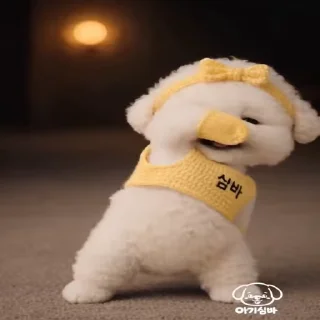 Video sticker 😎 Больше стиков тут: @stikery4