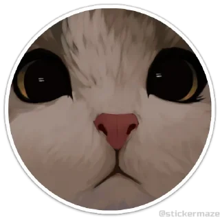 Video sticker 😺 @stickermaze | Cats2