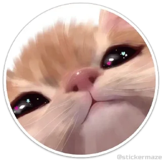 Telegram sticker 😺 @stickermaze | Cats2