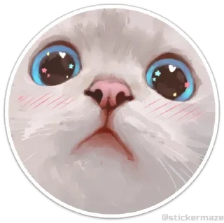 Video sticker 😺 @stickermaze | Cats2
