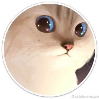 Telegram sticker 😺 @stickermaze | Cats2