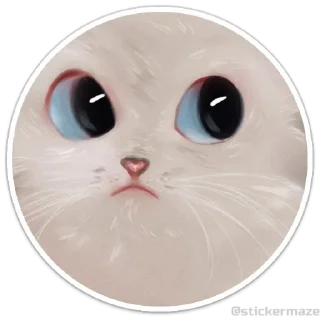 Video sticker 😺 @stickermaze | Cats2