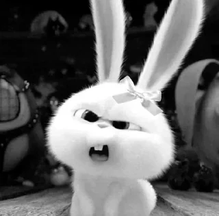 Telegram stiker 🌟 Aida's