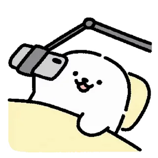 Video sticker ⭐ Lazy Harp Seal Beomsik