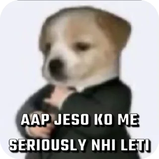 Video sticker 🖼 Bae~'s sticker pack