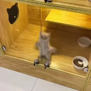Video sticker 😳 Больше стиков тут: @stikery4
